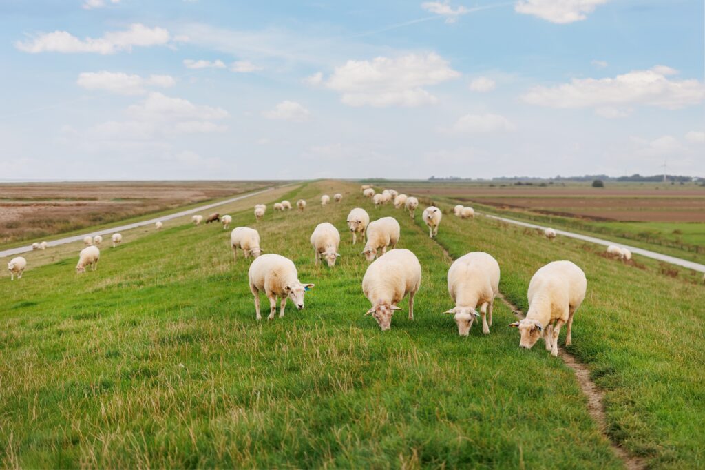 Akademische Karriere in Niedersachsen: Diese Wege stehen Promovierenden offen
