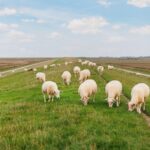 Akademische Karriere in Niedersachsen: Diese Wege stehen Promovierenden offen